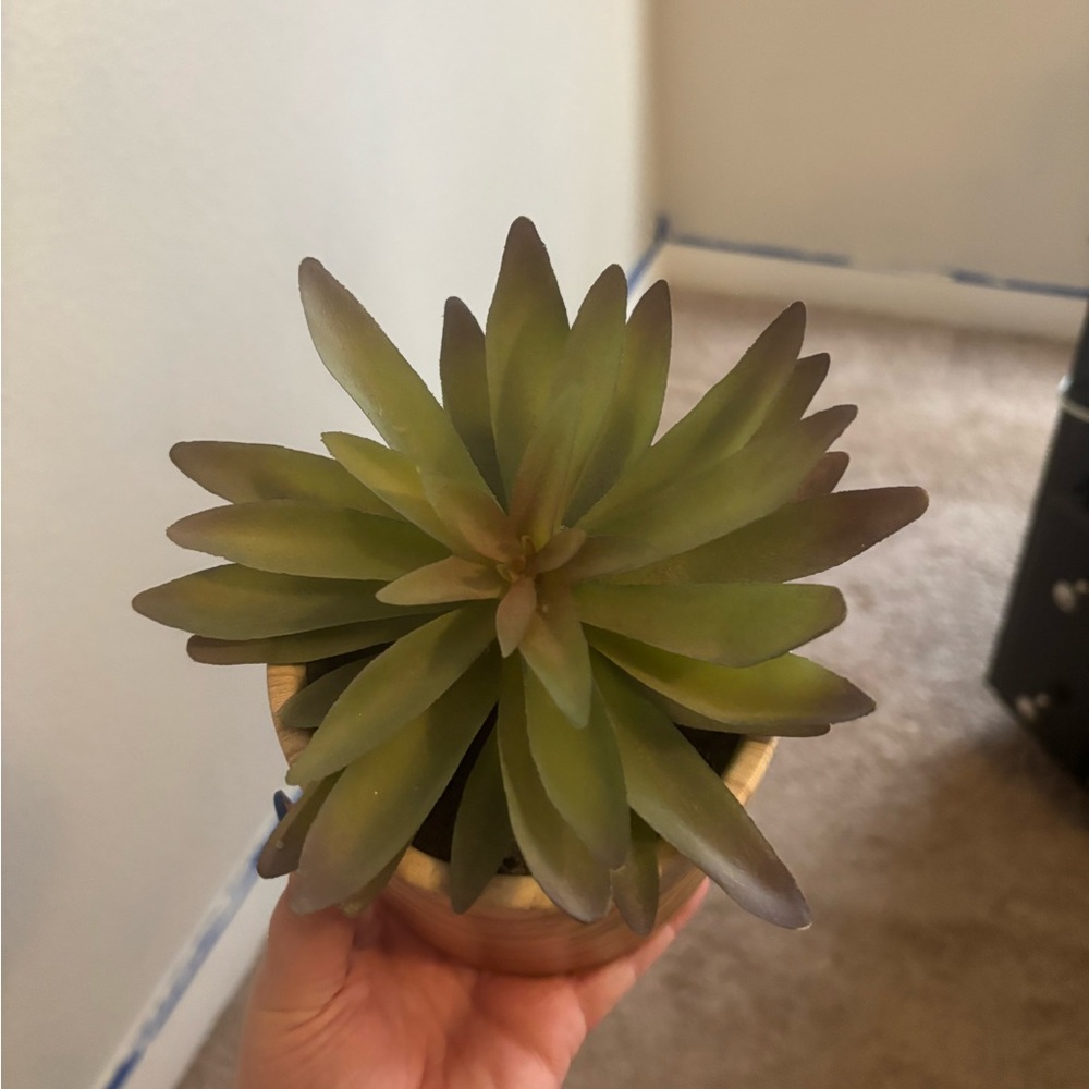 Faux Succulent in a Wooden Planter